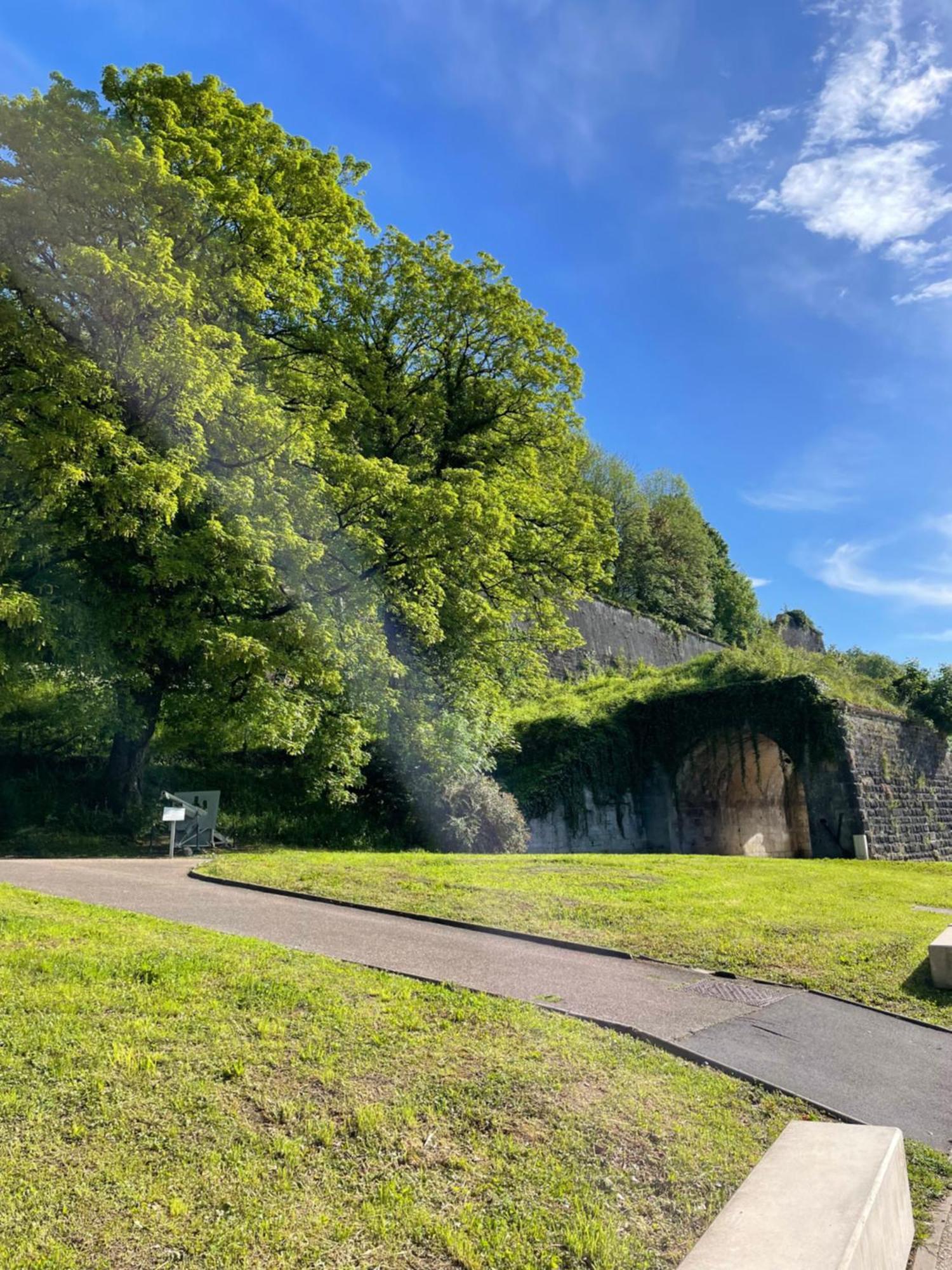 La Roche Apartment Verdun-sur-Meuse Bagian luar foto